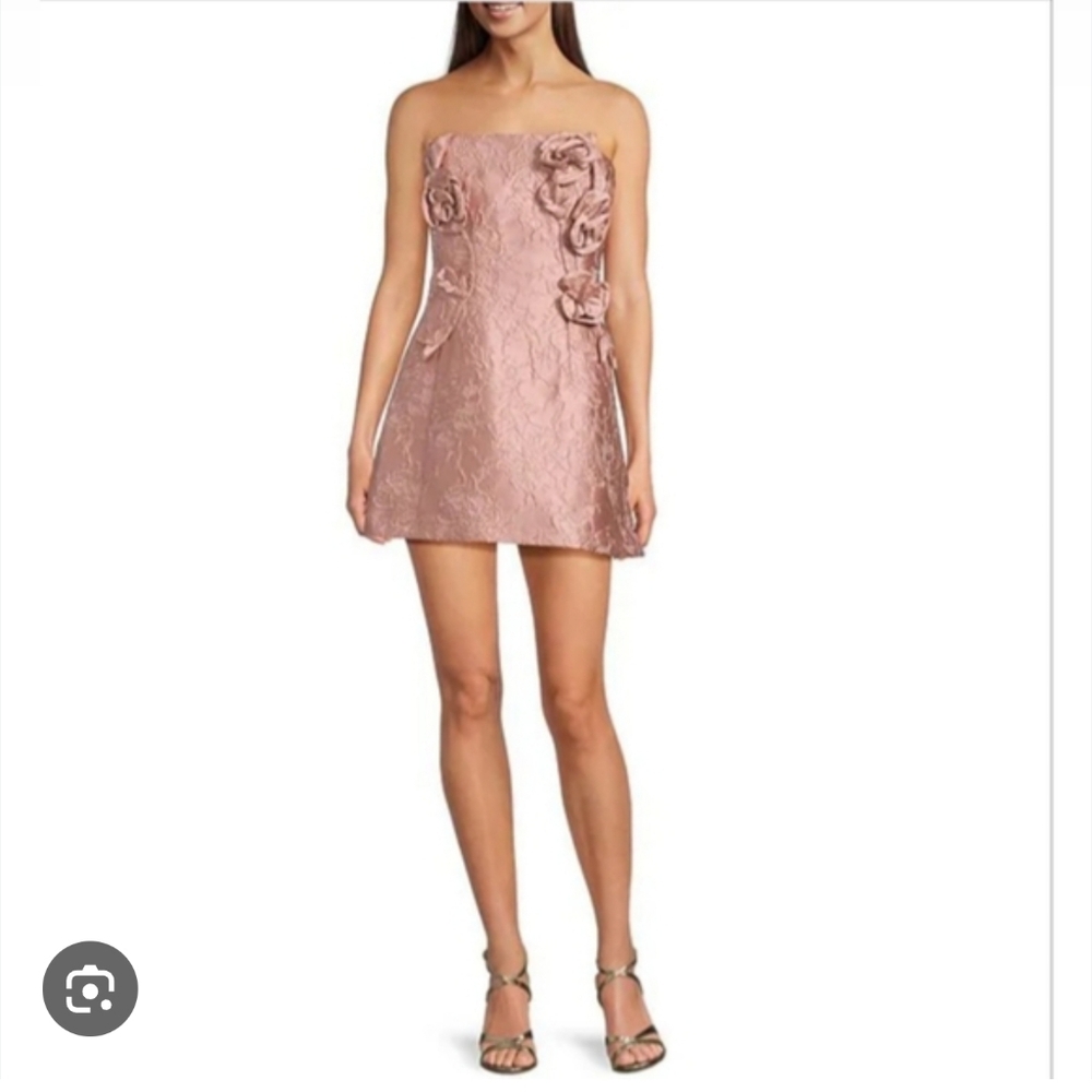 Muse By Marchesa NWT Pink Floral Dress Size 10